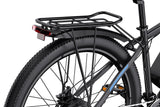 DUOTTS C29L Electric Bike