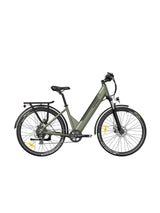 FAFREES F28 Pro Stepthrough image 0