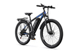 DUOTTS C29L Electric Bike